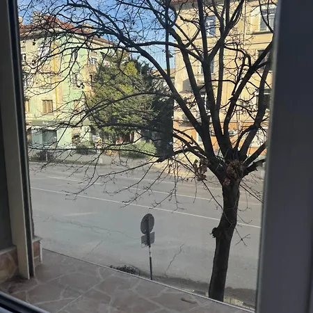 Apartament Elit *
